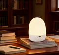 LED Egg Shaped Night Lamp - TL86